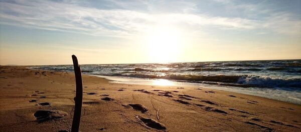 Песчаный пляж - Sputnik Литва