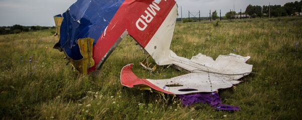 Поисковые работы на месте крушения малайзийского лайнера Boeing 777 в районе Шахтерска - Sputnik Литва
