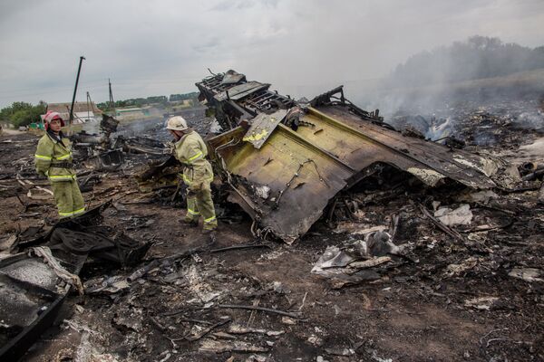 Крушение малайзийского Boeing на Украине Крушение малайзийского Boeing на Украине - Sputnik Литва