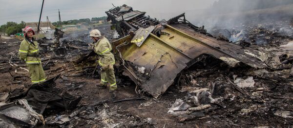 Крушение малайзийского Boeing на Украине - Sputnik Литва