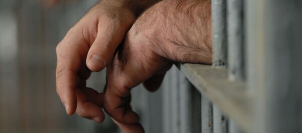 Руки заключенного за решеткой, архивное фото Руки заключенного за решеткой, архивное фото - Sputnik Lietuva