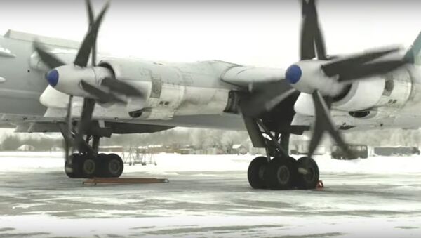Минобороны РФ опубликовало кадры полетов Ту-95 при низких температурах - Sputnik Литва