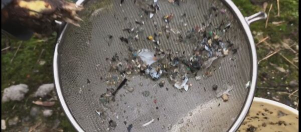 Сточные воды в Вильнюсе, 19 января 2020 года - Sputnik Литва