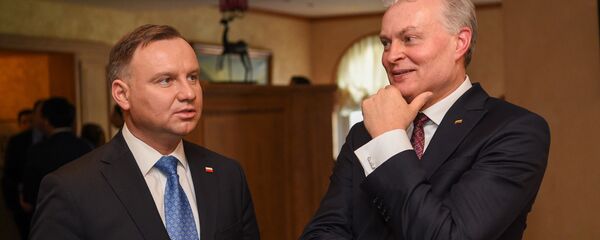 Президент Литвы Гитанас Науседа и президент Польши Анджей Дуда на форуме в Давосе, 21 января 2020 года - Sputnik Литва