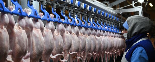 Сотрудник в разделочном цехе на птицефабрике, архивное фото - Sputnik Литва