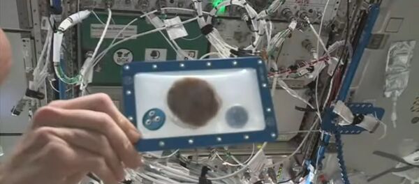 Kosminiai sviestinukai: kosmonautai pirmą kartą iškepė sausainius TKS Kosminiai sviestinukai: kosmonautai pirmą kartą iškepė sausainius TKS - Sputnik Lietuva