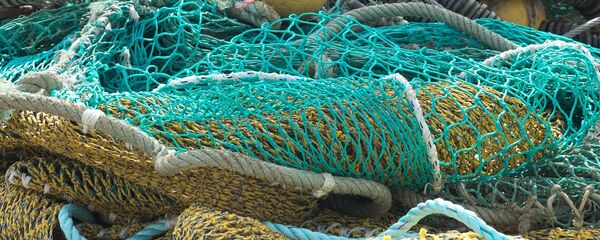 Рыболовная сеть - Sputnik Литва