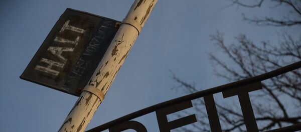 Музей на территории бывшего концентрационного лагеря Аушвиц-Биркенау в польском Освенциме, 26 января 2019 года - Sputnik Литва