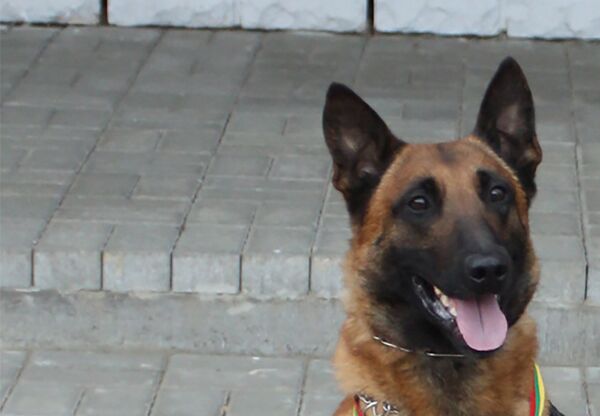 Ramzis - Sputnik Литва