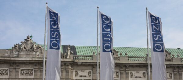 Флаги ОБСЕ Флаги ОБСЕ - Sputnik Lietuva