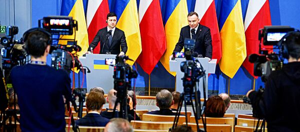 Встреча Украинского президента Владимира Зеленского с президентом Польши Анджеем Дудой, 27 января 2020 года - Sputnik Литва