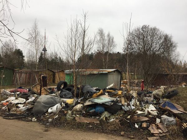 Sostinės Karoliniškių gyventojai metų metais nesėkmingai kovoja su sąvartynu Sostinės Karoliniškių gyventojai metų metais nesėkmingai kovoja su sąvartynu - Sputnik Lietuva