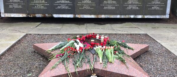 Neleisime atimti pergalės: mitingas Klaipėdos išvadavimo metinių proga Neleisime atimti pergalės: mitingas Klaipėdos išvadavimo metinių proga - Sputnik Lietuva