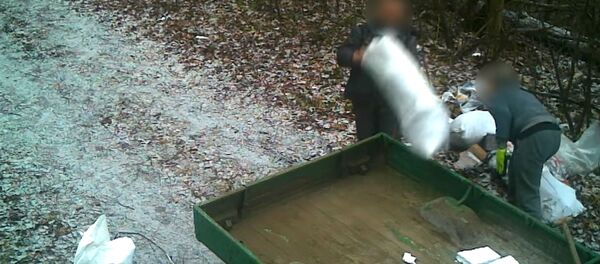 Закон кармы: нарушителя заставили убирать мусор в Вильнюсе Закон кармы: нарушителя заставили убирать мусор в Вильнюсе - Sputnik Lietuva