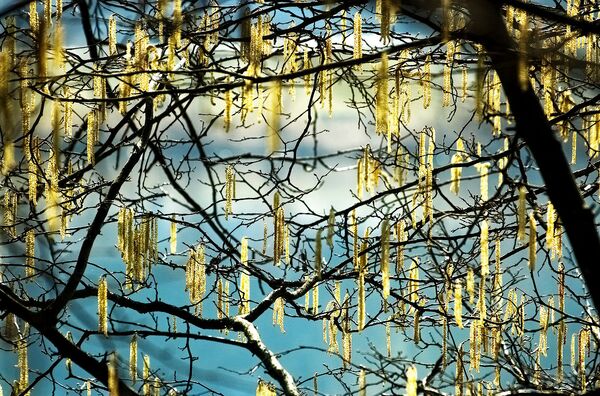 Kovo 10 dienos horoskopas visiems zodiako ženklams Kovo 10 dienos horoskopas visiems zodiako ženklams - Sputnik Lietuva