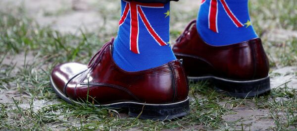 Протесты против Brexit в Брюсселе, 30 января 2020 года Протесты против Brexit в Брюсселе, 30 января 2020 года - Sputnik Lietuva