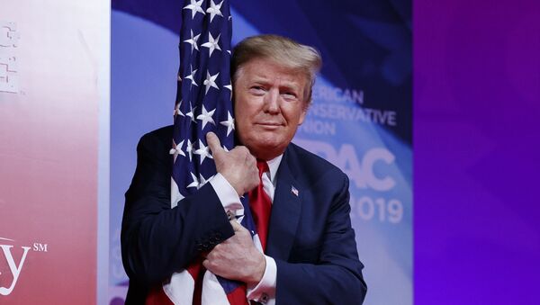 Президент США Дональд Трамп с флагом страны, архивное фото - Sputnik Lietuva