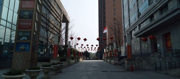 Пустынная улица в Ухане, Китай, архивное фото - Sputnik Литва