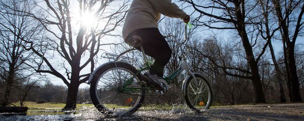 Dviratis Dviratis - Sputnik Lietuva