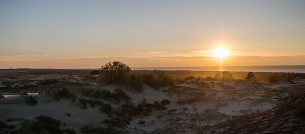 Национальный парк Куршская коса в Калининградской области, архивное фото Национальный парк Куршская коса в Калининградской области, архивное фото - Sputnik Литва
