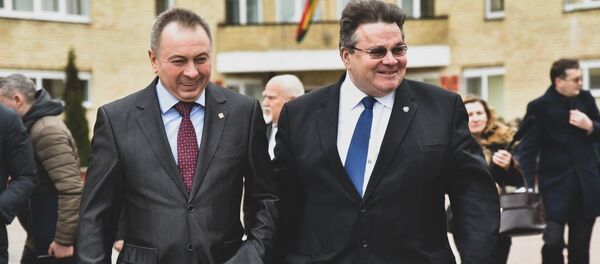 Встреча Линаса Линкявичюса с Владимиром Макеем в Белоруссии, 3 февраля 2020 года - Sputnik Литва