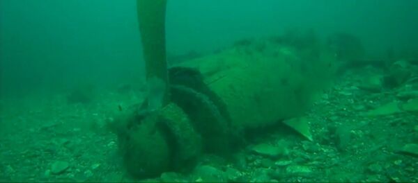 На дне Черного моря обнаружили военный самолет  - Sputnik Литва