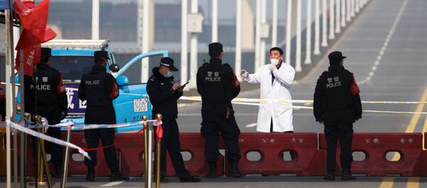 Полиция на КПП на мосту через реку Янцзы в Цзюцзян, архивное фото - Sputnik Литва