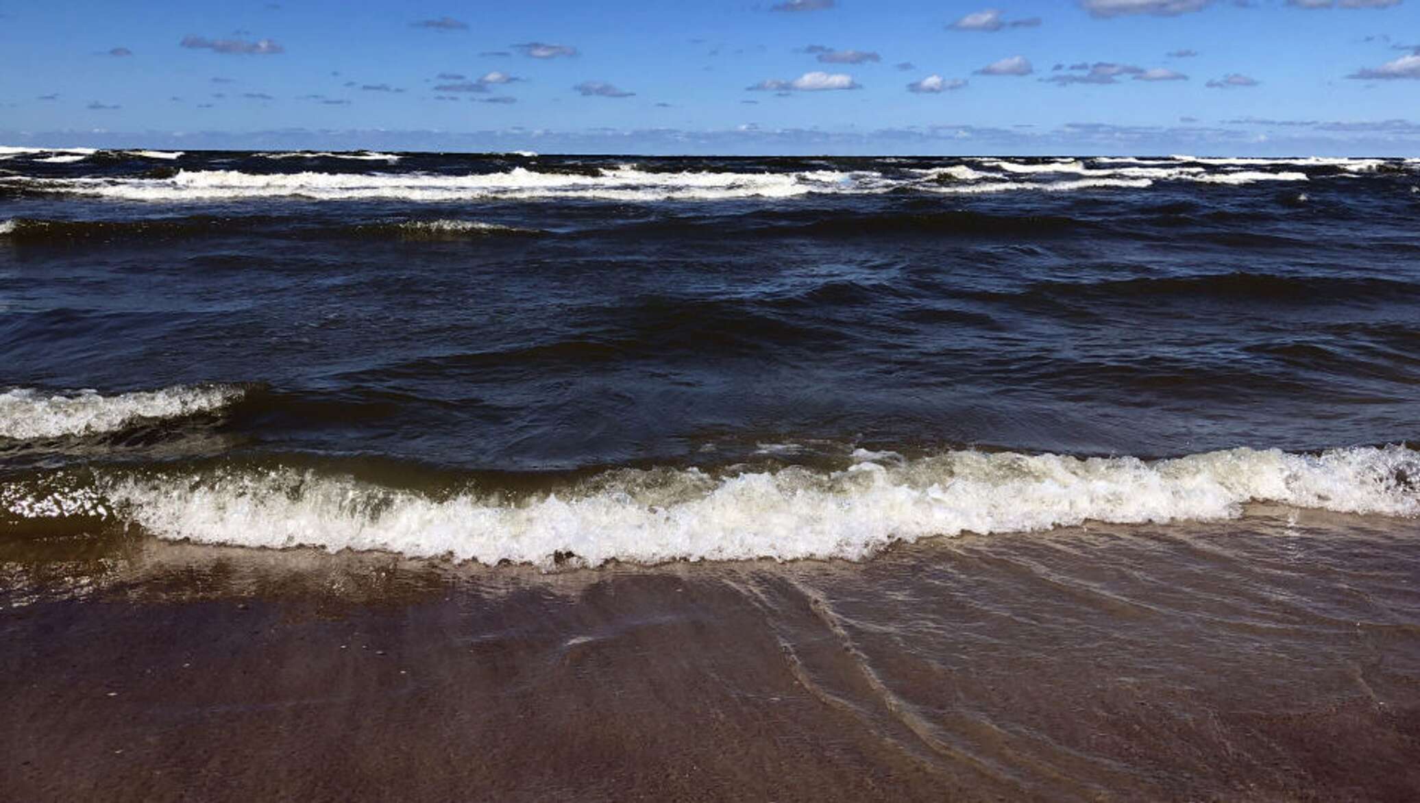 Загрязнение Балтийского моря нефтью