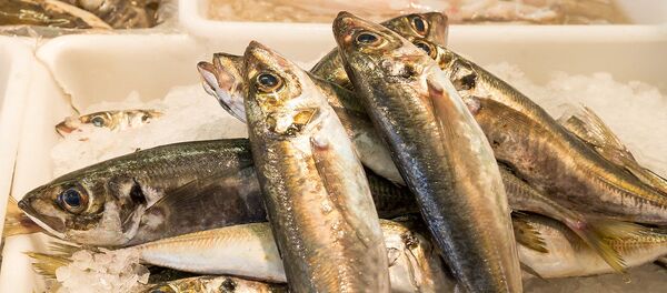 Свежая рыба, архивное фото  - Sputnik Литва