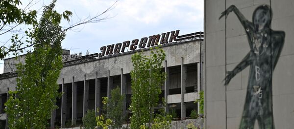 Граффити на бывшем доме культуры «Энергетик» в городе-призраке Припять Граффити на бывшем доме культуры «Энергетик» в городе-призраке Припять - Sputnik Lietuva