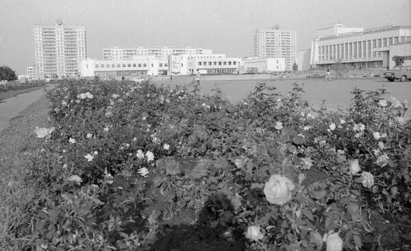 Микрорайон города Припять в Киевской области, 1985 год - Sputnik Lietuva