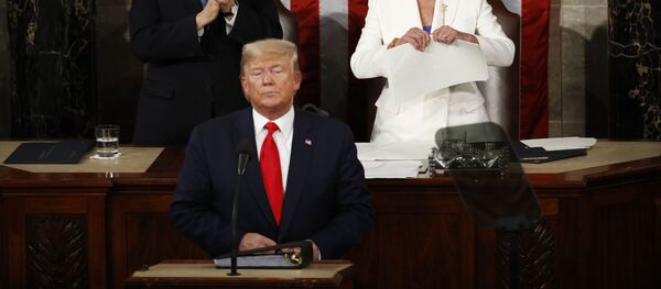 Спикер Палаты представителей США Нэнси Пелоси разрывает речь президента США Дональда Трампа после его выступления в конгрессе с ежегодным посланием Спикер Палаты представителей США Нэнси Пелоси разрывает речь президента США Дональда Трампа после его выступления в конгрессе с ежегодным посланием - Sputnik Lietuva