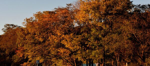 Осень на юге Приморского края Осень на юге Приморского края - Sputnik Литва