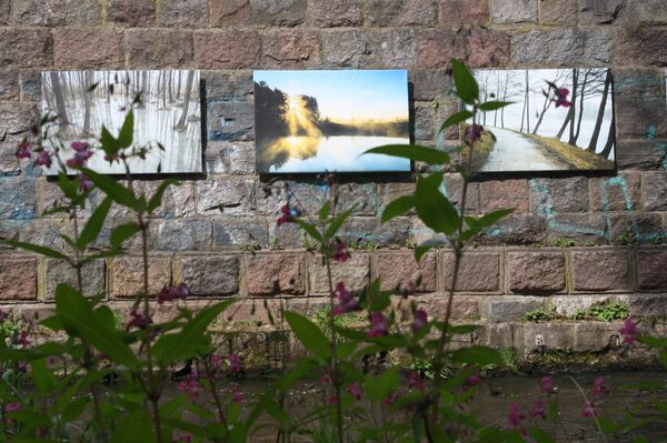 Картины на стене над водным потоком - Sputnik Литва