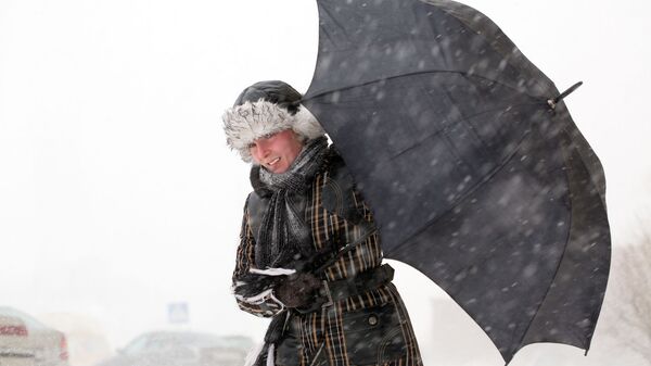 Сильный ветер и снегопад, архивное фото - Sputnik Литва