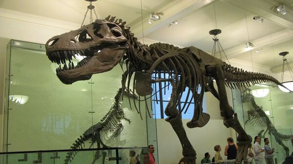 Скелет тираннозавра, архивное фото - Sputnik Lietuva
