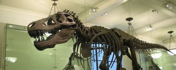 Скелет тираннозавра, архивное фото Скелет тираннозавра, архивное фото - Sputnik Lietuva