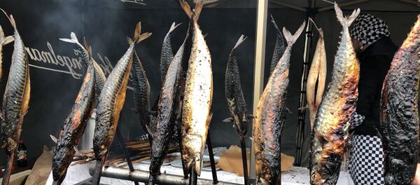 Дары Балтийского моря: как прошел традиционный Праздник корюшки в Паланге - Sputnik Lietuva