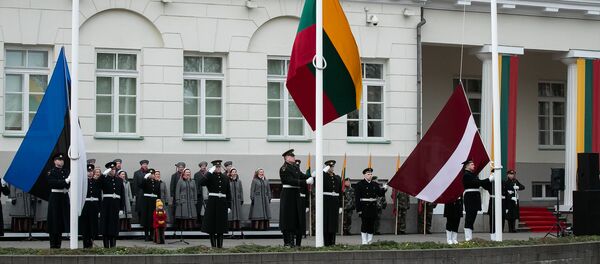 Флаги Эстонии, Литвы и Латвии, архивное фото Флаги Эстонии, Литвы и Латвии, архивное фото - Sputnik Lietuva