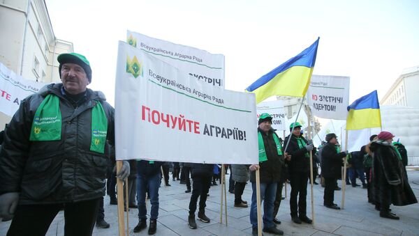 Участники акции против земельной реформы у здания администрации президента Украины в Киеве, 6 февраля 2020 года - Sputnik Литва