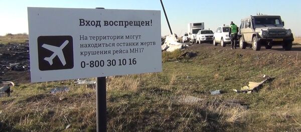 Internete pasirodė naujų dokumentų dėl MH17 katastrofos Internete pasirodė naujų dokumentų dėl MH17 katastrofos - Sputnik Lietuva