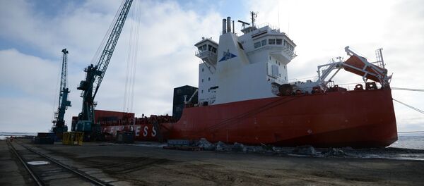 Контейнеровоз ледового класса Arctic Express в порту Дудинка, архивное фото Контейнеровоз ледового класса Arctic Express в порту Дудинка, архивное фото - Sputnik Литва