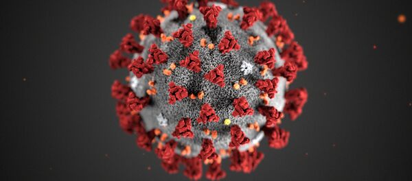 Коронавирус 2019-nCoV Коронавирус 2019-nCoV - Sputnik Lietuva