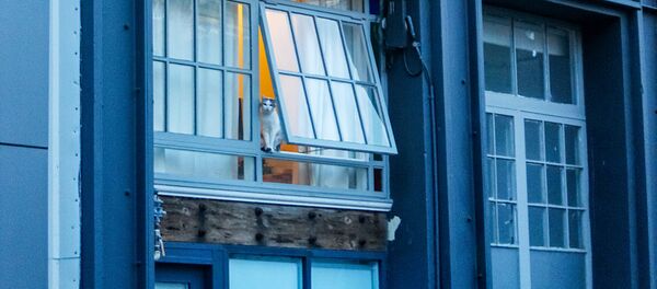 Окно многоэтажного здания, архивное фото - Sputnik Литва