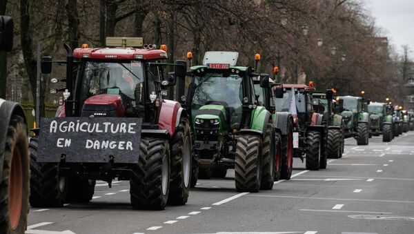 Протест фермеров в Брюсселе, 20 февраля 2020 года - Sputnik Литва