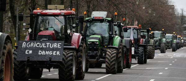 Протест фермеров в Брюсселе, 20 февраля 2020 года - Sputnik Литва