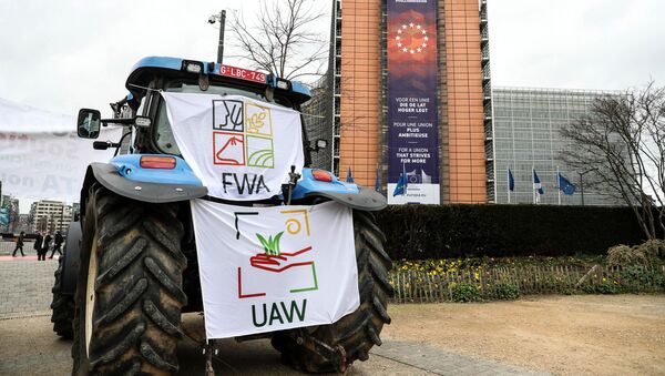 Протест фермеров в Брюсселе, 20 февраля 2020 года - Sputnik Литва