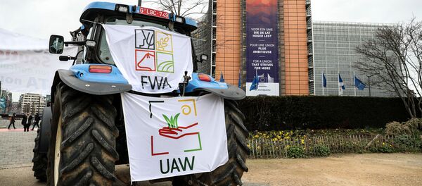 Lietuvos ir kitų ES šalių ūkininkai Briuselyje surengė protestą Lietuvos ir kitų ES šalių ūkininkai Briuselyje surengė protestą - Sputnik Lietuva