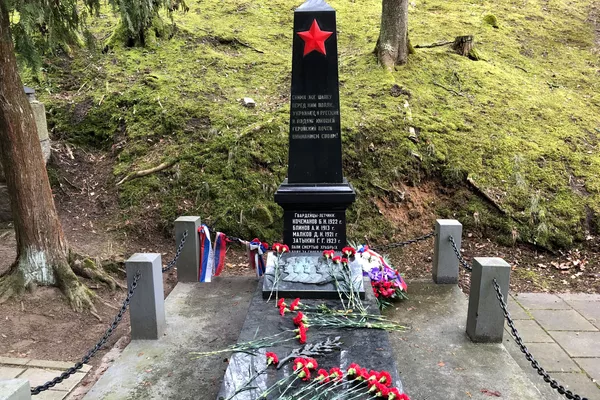 Акция памяти на Антакальнисском кладбище в День защитника Отечества, 23 февраля 2020 года Акция памяти на Антакальнисском кладбище в День защитника Отечества, 23 февраля 2020 года - Sputnik Lietuva