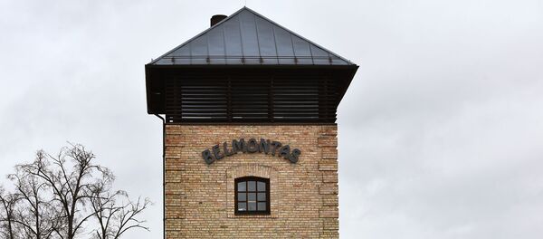 Фестиваль ледяных фигур в парке “Бельмонтас” в Вильнюсе Фестиваль ледяных фигур в парке “Бельмонтас” в Вильнюсе - Sputnik Lietuva